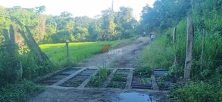 Lote de 24 hectáreas en Lérida, Tolima, foto 5