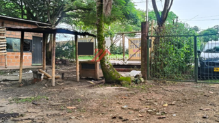 Lote en Venta - Zona Rural | Ibague, foto 5