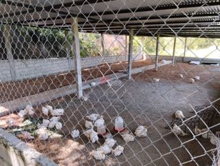 Casa en Venta — Mariquita, foto 5