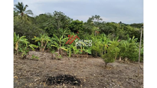 Casa en Venta - San Luis, Tolima, foto 11