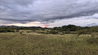 Lote en Venta — Natagaima, foto 5