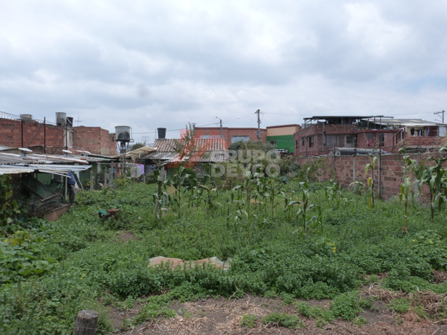 Lote en venta - Chia, Cundinamarca
