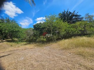Finca Los Arrayanes, foto 21