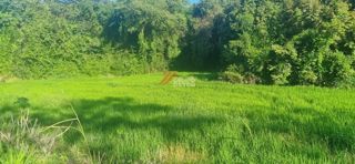 Lote de 24 hectáreas en Lérida, Tolima, foto 6